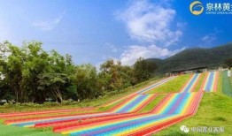 恩平爆料热线最新,揭秘最新民生热点事件！