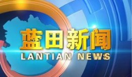 电视台新闻爆料,揭秘某事件背后惊人真相