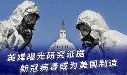 新冠病毒英媒爆料视频,揭秘病毒起源与传播之谜