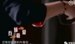 恋爱脑娱乐吃瓜,娱乐吃瓜，揭秘明星恋爱幕后故事