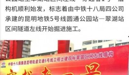 幼儿园最新爆料新闻稿件,揭秘园所内幕，关注儿童安全与教育质量