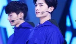 粉丝爆料杨洋事件真相视频,粉丝爆料揭露背后真相