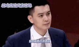 杨鸣爆料老婆视频,揭秘明星家庭生活点滴