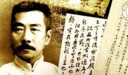 鲁迅最新爆料视频大全,揭秘文学巨匠的另类人生