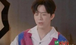 吃瓜网红王力宏是谁啊视频,从歌手到网络红人的蜕变之路