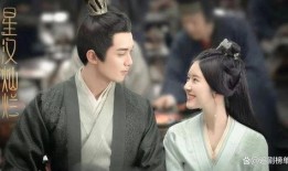 兴汉灿烂剧情爆料最新