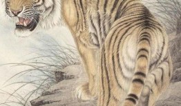 抓地虎吃瓜视频大全集免费观看,免费畅享欢乐时光