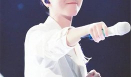 娱乐圈圈爆料王俊凯,娱乐圈爆料王，揭秘明星幕后故事