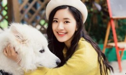 爆料娱乐圈赵露思小说,娱乐圈爆红背后的小说传奇