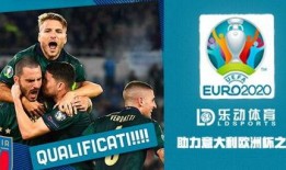 法国vs匈牙利爆料视频,揭秘赛场背后的精彩瞬间