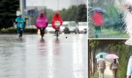 秋雨在线观看,在线观看，感受诗意人生