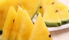 黑科吃瓜爆料最新进展视频,最新进展视频深度解析