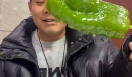 网红吃瓜根老头视频,揭秘民间美食背后的传奇故事