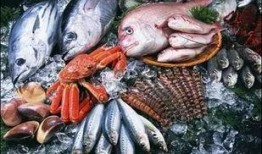 薯鱼大爆料完整视频