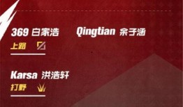 二辰爆料小黄豆视频网址,小黄豆视频网址背后的精彩内容