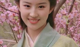 赵灵儿五画爆料视频大全,揭秘神秘角色背后的故事