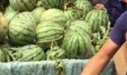 南京网红吃瓜事件,揭秘网络舆论的风暴与真相