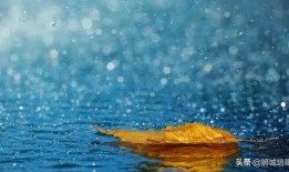 秋雨在线观看,在线观看，感受诗意人生