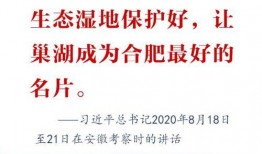 早安合肥在线观看,每日新鲜资讯，开启美好一天