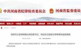 信阳新闻爆料网站,最新动态盘点，揭秘本地热点事件