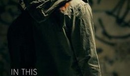 海吉拉在线观看,穿越时空的传奇之旅