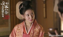 二辰爆料小黄豆视频网址,小黄豆视频网址背后的精彩内容