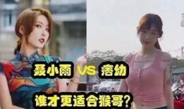 小雅夫妇爆料事件视频全集,视频全集揭秘惊人内幕