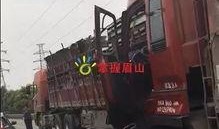 长春大货车爆料视频大全,揭秘城市交通背后的故事